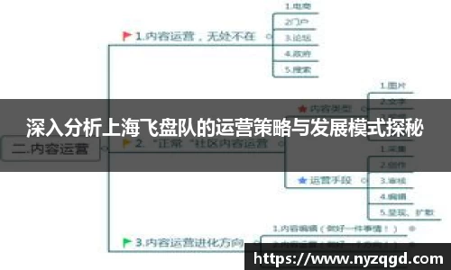深入分析上海飞盘队的运营策略与发展模式探秘