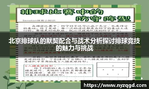 北京排球队的默契配合与战术分析探讨排球竞技的魅力与挑战