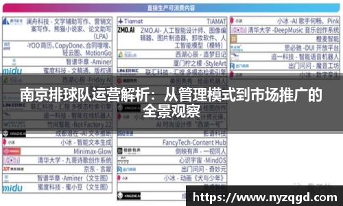 南京排球队运营解析：从管理模式到市场推广的全景观察